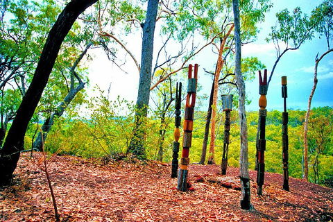 Tiwi Islands Cultural Experience From Darwin Including Ferry - Accommodation Mermaid Beach 3
