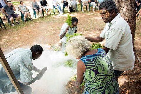 Tiwi Islands Cultural Experience From Darwin Including Ferry - Accommodation Mermaid Beach 4