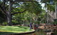 Darwin City Sights And Jumping Crocodile Cruise - thumb 5