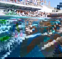 Great Barrier Reef Day Cruise from Cairns Including Snorkeling and Marine Biologist Presentation - Accommodation Mermaid Beach