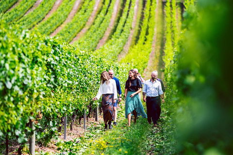 Tasmanian Wine Tour - Accommodation Mermaid Beach 0