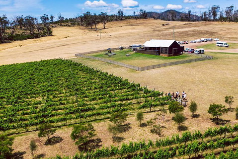 Tasmanian Wine Tour - Accommodation Mermaid Beach 3
