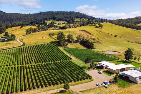 Tasmanian Wine Tour - Accommodation Mermaid Beach 4