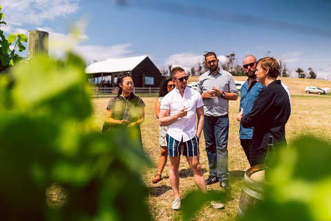 Tasmanian Wine Tour - Accommodation Mermaid Beach 5