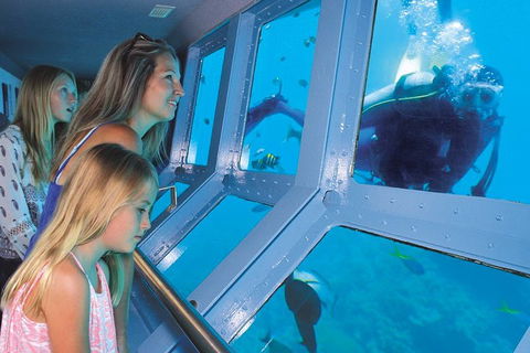 Quicksilver Outer Great Barrier Reef Snorkel Cruise From Port Douglas - Accommodation Mermaid Beach 1