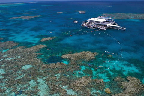 Quicksilver Outer Great Barrier Reef Snorkel Cruise From Port Douglas - Accommodation Mermaid Beach 3