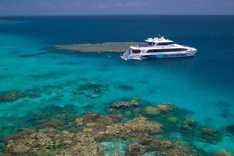 Silversonic Outer Great Barrier Reef Dive And Snorkel Cruise From Port Douglas - Accommodation Mermaid Beach 2