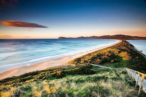 Bruny Island Private Charter Service - Accommodation Mermaid Beach 0