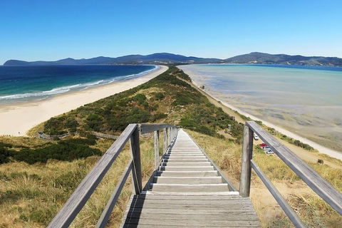Bruny Island Private Charter Service - Accommodation Mermaid Beach 4