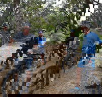 Fully guided E-Mountain Bike Tour on the beautiful Mornington Peninsula. - Accommodation Mermaid Beach