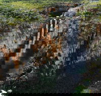 7 Days Darwin Kakadu National Park Katherine Gorge Touring Package - Accommodation Mermaid Beach