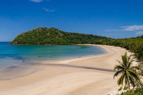 Daintree And Cape Tribulation Tour From Cairns - Accommodation Mermaid Beach 1