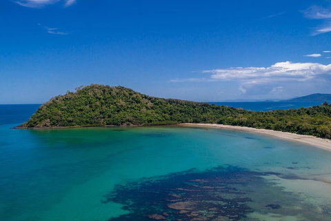 Daintree And Cape Tribulation Tour From Cairns - Accommodation Mermaid Beach 4