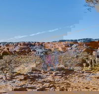 The Amazing Kings Canyon 4-Hours Walking Tour and Hike - Accommodation Mermaid Beach