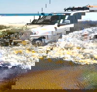 Full-Day Moreton Island 4x4 Sightseeing Tour - Accommodation Mermaid Beach