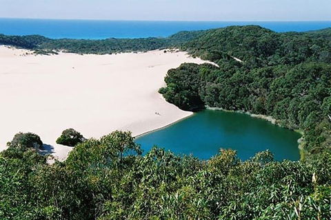 Full-Day Moreton Island 4x4 Sightseeing Tour - Accommodation Mermaid Beach 5