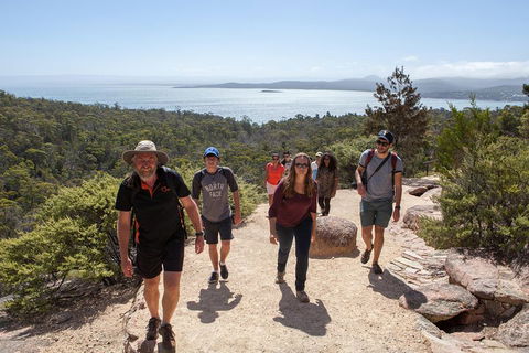 3-Day Tasmania Combo: Launceston To Hobart Active Tour Including Cradle Mountain, Freycinet National Park And Port Arthur - Accommodation Mermaid Beach 5
