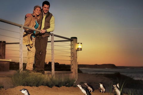 The Ultimate Melbourne Attractions Pass - Accommodation Mermaid Beach 3