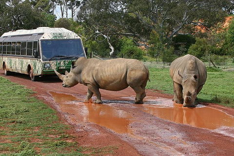 The Ultimate Melbourne Attractions Pass - Accommodation Mermaid Beach 4