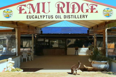 2-Day Kangaroo Island Safari From Adelaide - Accommodation Mermaid Beach 4