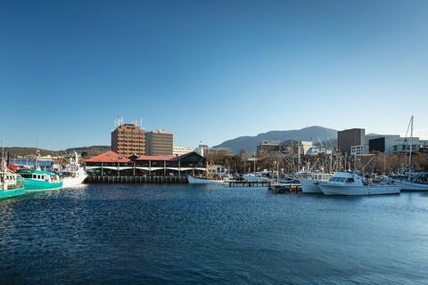 Hobart City Sightseeing Tour Including MONA Admission - Accommodation Mermaid Beach 0