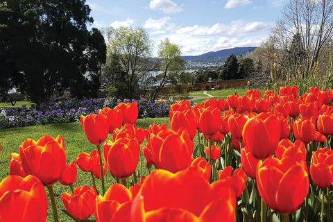 Hobart City Sightseeing Tour Including MONA Admission - Accommodation Mermaid Beach 4