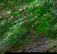 Green Island Eco Adventure from Cairns - Accommodation Mermaid Beach