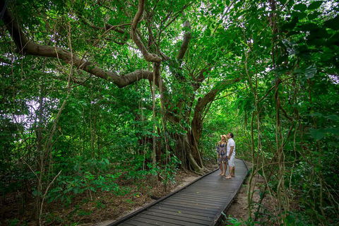 Green Island Eco Adventure From Cairns - Accommodation Mermaid Beach 0