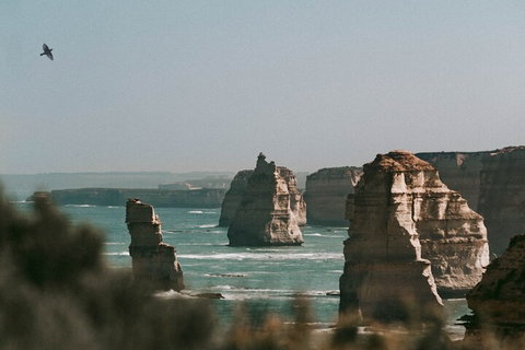 Half-Day Or Full-Day Tour With Private Guide From Melbourne - Accommodation Mermaid Beach 0