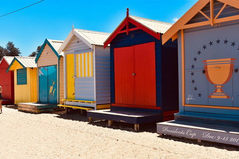 Half-Day Or Full-Day Tour With Private Guide From Melbourne - Accommodation Mermaid Beach 3