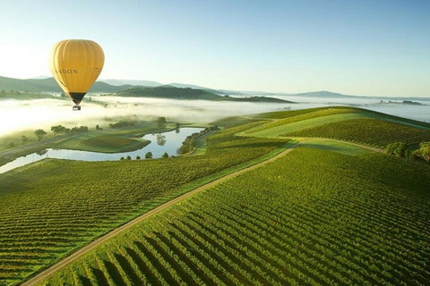 Half-Day Or Full-Day Tour With Private Guide From Melbourne - Accommodation Mermaid Beach 4