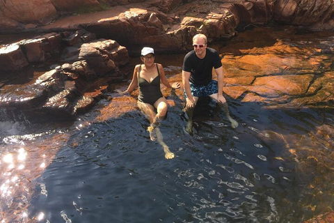 One Day Litchfield Park Adventures - Accommodation Mermaid Beach 0
