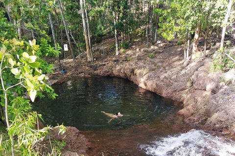 One Day Litchfield Park Adventures - Accommodation Mermaid Beach 2