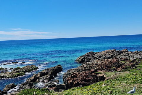 Private Custom Byron Bay Day Out - Accommodation Mermaid Beach 4