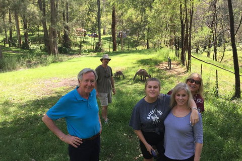 Small Group Blue Mountains Day Tour From Sydney - Accommodation Mermaid Beach 1