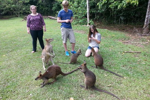 Small Group Blue Mountains Day Tour From Sydney - Accommodation Mermaid Beach 2