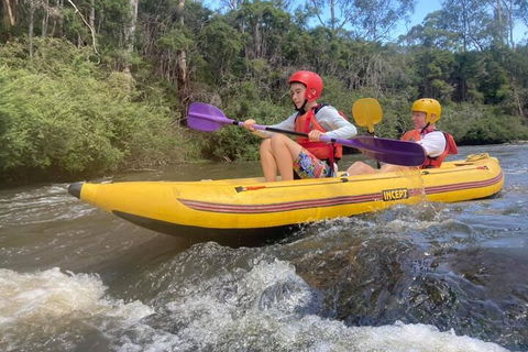 Yarra River Half-Day Rafting Experience - Accommodation Mermaid Beach 1