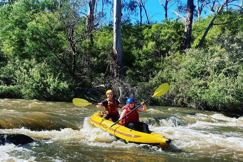 Yarra River Half-Day Rafting Experience - Accommodation Mermaid Beach 2