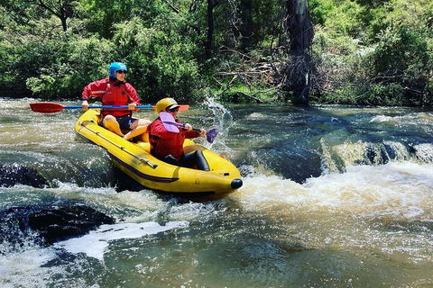 Yarra River Half-Day Rafting Experience - Accommodation Mermaid Beach 4