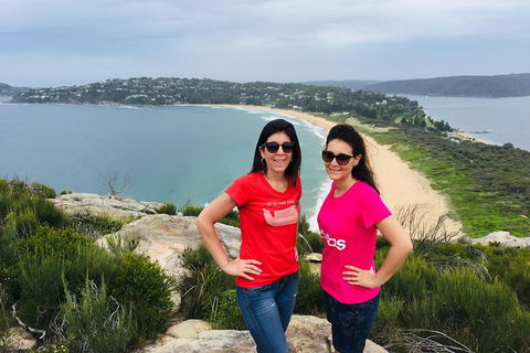 Small-Group Sydney's Northern Beaches And Ku-ring-gai National Park Bus Tour - Accommodation Mermaid Beach 3