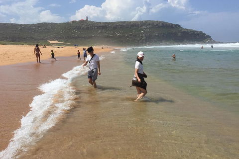 Small-Group Sydney's Northern Beaches And Ku-ring-gai National Park Bus Tour - Accommodation Mermaid Beach 5