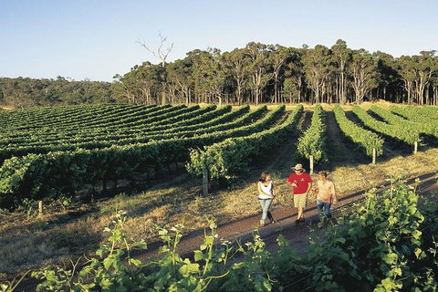 2-Day Margaret River Wine Experience From Perth - Accommodation Mermaid Beach 3