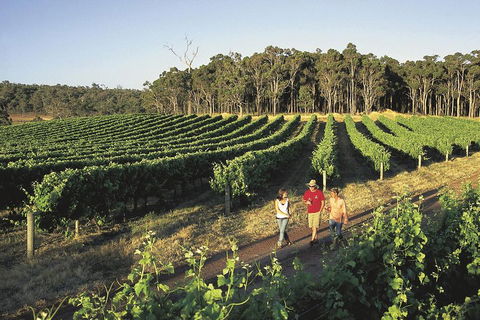Margaret River, Caves, Wine And Cape Leeuwin Lighthouse Tour From Perth - Accommodation Mermaid Beach 1