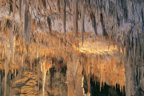 Margaret River, Caves, Wine And Cape Leeuwin Lighthouse Tour From Perth - Accommodation Mermaid Beach 3
