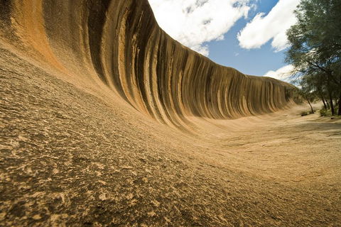 Wave Rock, York, Wildflowers, And Aboriginal Cultural Day Tour From Perth - Accommodation Mermaid Beach 0