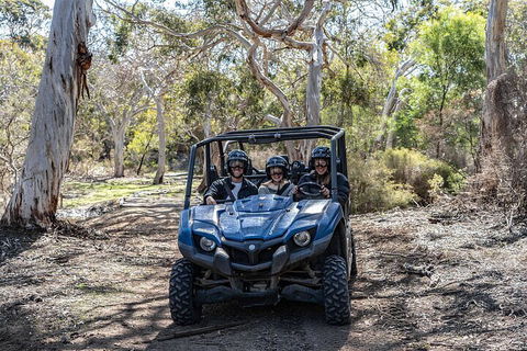 Small-Group Buggy Tour At Little Sahara With Guide - Accommodation Mermaid Beach 0