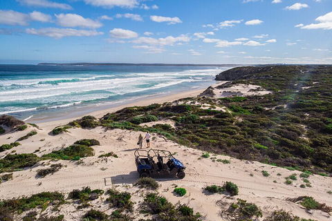 Small-Group Buggy Tour At Little Sahara With Guide - Accommodation Mermaid Beach 1