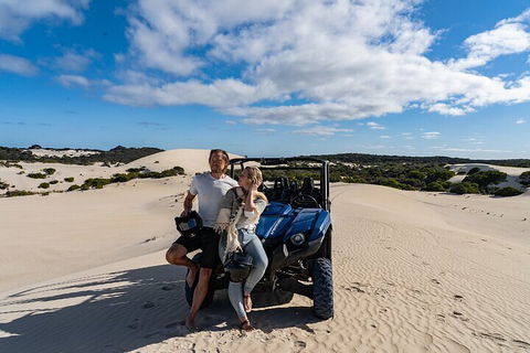 Small-Group Buggy Tour At Little Sahara With Guide - Accommodation Mermaid Beach 2