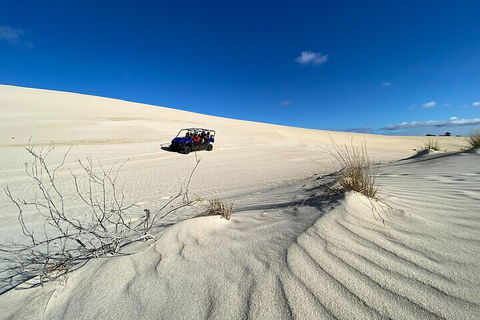 Small-Group Buggy Tour At Little Sahara With Guide - Accommodation Mermaid Beach 3