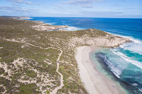 Small-Group Buggy Tour At Little Sahara With Guide - Accommodation Mermaid Beach 4